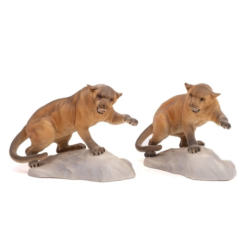 16A - Two Beswick Pumas on a Rock: style one under matt.