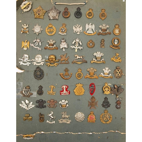 388 - A collection of Cavalry regiment cap badges.: