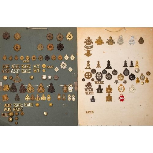 393 - A collection of Corps and ATS cap badges, etc.: