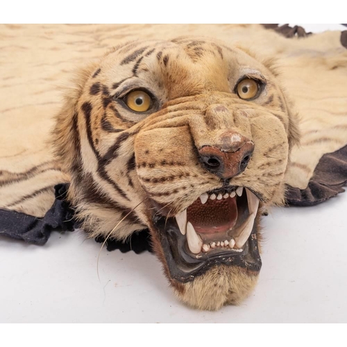 55 - A pair of taxidermy Tiger skin (Panthera tigris) rugs by Van Ingen & Van Ingen, Mysore: numbered '1 ... 