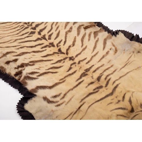 55 - A pair of taxidermy Tiger skin (Panthera tigris) rugs by Van Ingen & Van Ingen, Mysore: numbered '1 ... 