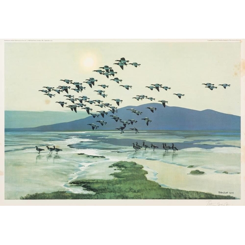 596 - After Peter Scott [1909-1989]- Mallard in a Yellow Sky; Whitefronted Geese at Dawn; Geese in Flight,... 