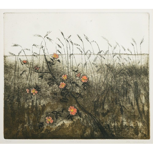 126 - * Lola Spafford [b.1930]- Poppies, Suffolk; Dog Rose,:- two, etchings in colours in editions of 75 b... 