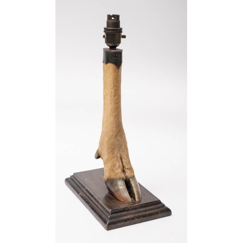 390 - An early 20th century Deer slot table lamp by Rowland Ward, London:,  with taxidermist plaques under... 