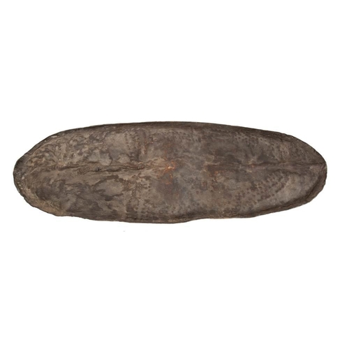 530 - An early 20th century African hide shield, two iron tipped spears and a hide drum.