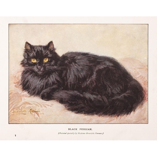 33 - CATS : Simpson,  Frances. The Book of the Cat. Original pictorial cloth. 4to. Cassell. 1903. Rather ... 