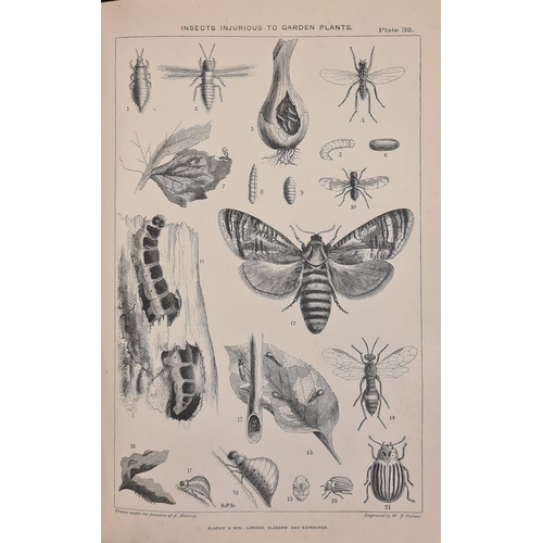 428 - THOMPSON, Robert - The Gardener's Assistant : Practical and Scientific. 32 plates. full morocco, Sto... 