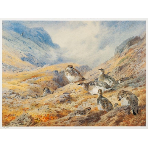 873 - After Archibald Thorburn (Scottish, 1860-1935) Birds of prey in a rocky landscape, circa 1907 signed... 