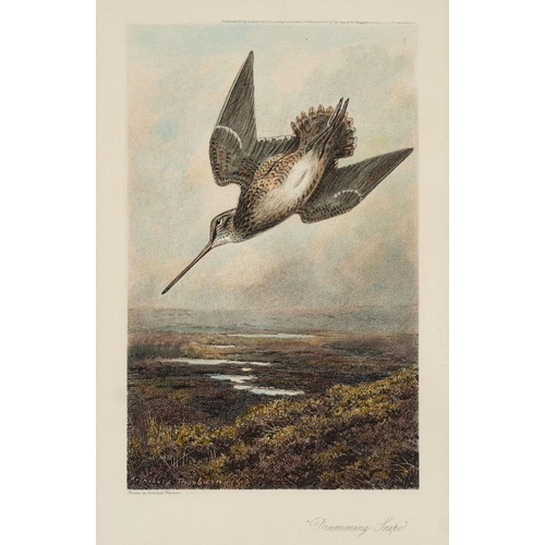 874 - After Archibald Thorburn (Scottish, 1860-1935) Eight various colour prints of birds in nature, to in... 