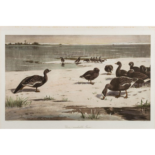 874 - After Archibald Thorburn (Scottish, 1860-1935) Eight various colour prints of birds in nature, to in... 