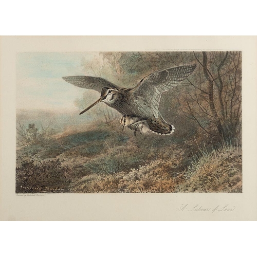 874 - After Archibald Thorburn (Scottish, 1860-1935) Eight various colour prints of birds in nature, to in... 