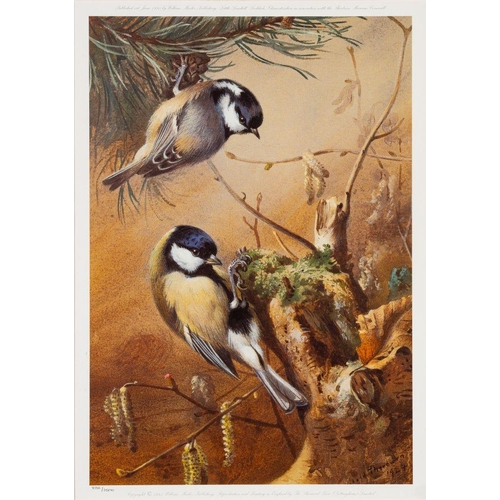 874 - After Archibald Thorburn (Scottish, 1860-1935) Eight various colour prints of birds in nature, to in... 