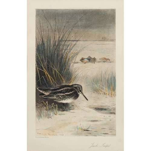 874 - After Archibald Thorburn (Scottish, 1860-1935) Eight various colour prints of birds in nature, to in... 