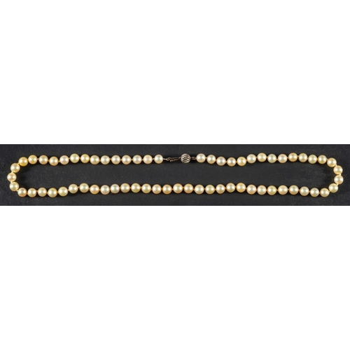 2507 - A single-strand necklace of cultured pearls, the pearls of yellowish hue with green overtones, diame... 