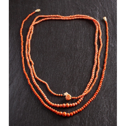 2516A - Two graduated coral bead necklaces, including one with a carved coral rose clasp, diameter of beads ... 