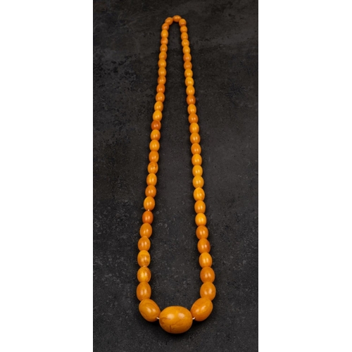 2524 - A Baltic amber bead necklace, length of beads ca. 11.8-33.3mms, length of necklace ca. 97cm total we... 