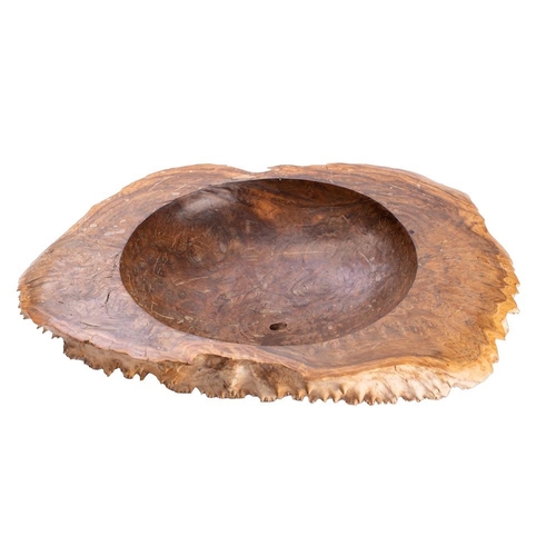 341 - A burr walnut polished bowl of oval outline, 49cm wide.