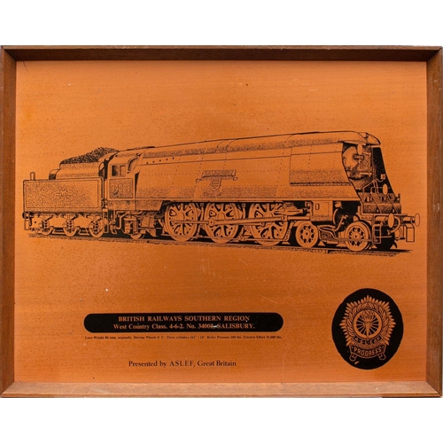 1028 - A cast alloy commemorative plaque for the Warship Class 2200 HP Diesel  Hydraulic locomotives, toget... 