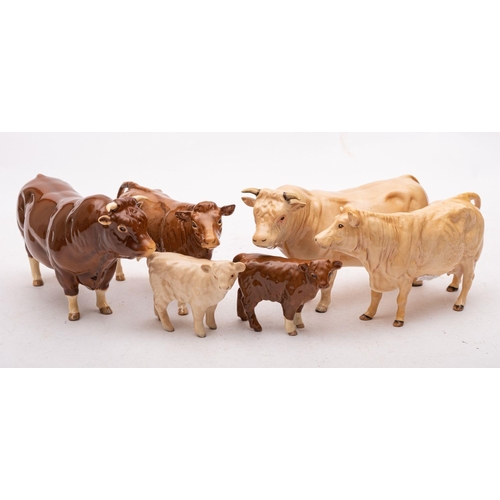 19 - A group of Beswick cattle comprising a Charolais cow, a Charolais bull and Charolais calf together w... 