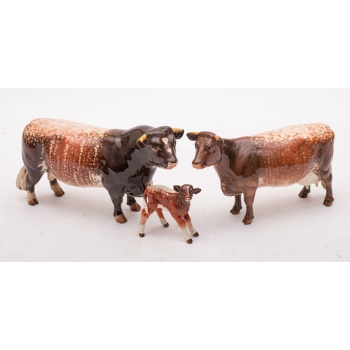 20 - A group of Beswick cattle comprising a Dairy Shorthorn cow, Champion Eaton Wide Eyes 91st, a Dairy S... 
