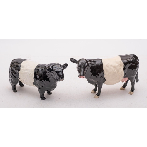 23 - A group of Beswick cattle comprising a Belted Galloway bull and a Belted Galloway cow, [the former w... 