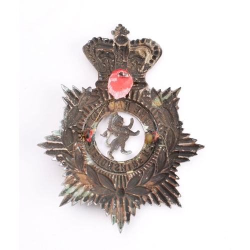 426 - 5th (The Haytor) VB Devonshire Regiment helmet plate.