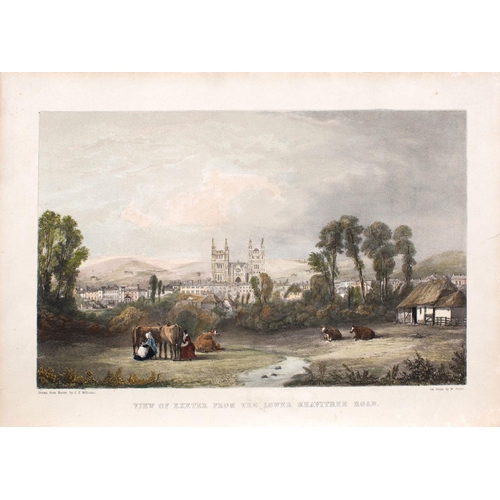 500 - British School (early 19th century) Northernhay, Exeter lithograph in colours; 19.5 x 29cm (sight); ... 