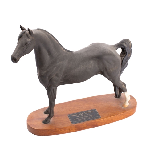 34 - A Beswick Connoisseur model Morgan Horse 'Tarrayall Maestro': No. 2605 after Graham Tongue, 28.7cm h... 