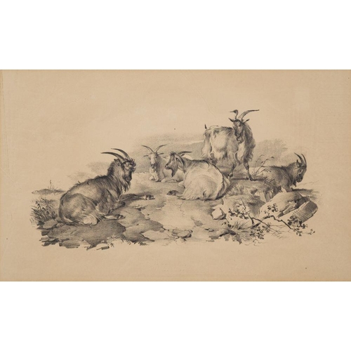 822 - Thomas Sidney Cooper (1803-1902) Goats resting; Cattle in a meadow; two scenes from Thomas Sidney Co... 