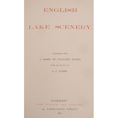 260 - LYDON, A. F. - English Lake Scenery, highly elaborate decorative cloth, illus. with a series of 12 c... 