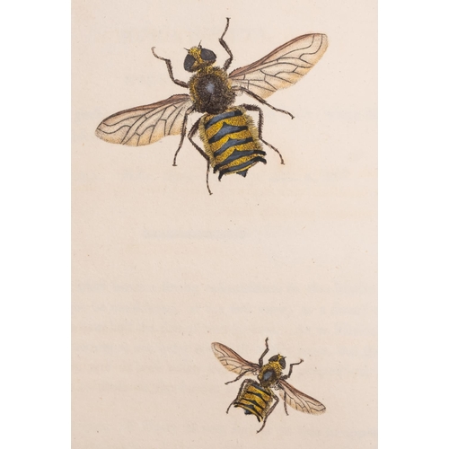 311 - DONOVAN, E - The Natural History of British Insects; explaining them in their several states, with t... 