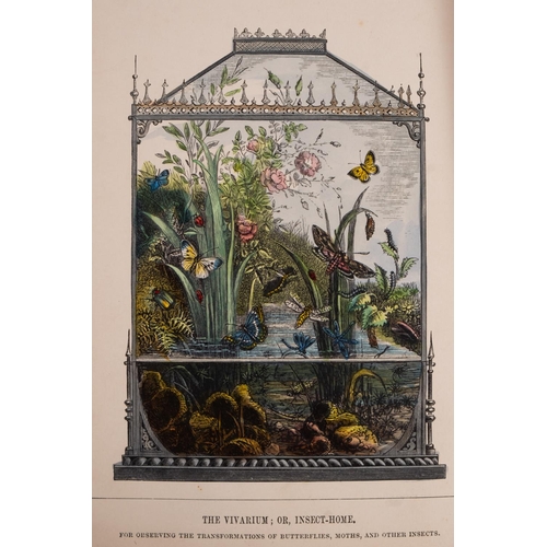 320 - HUMPHREYS, H. Noel - The Butterfly Vivarium; or, Insect Home :  Org. decorative beveled cloth. Small... 