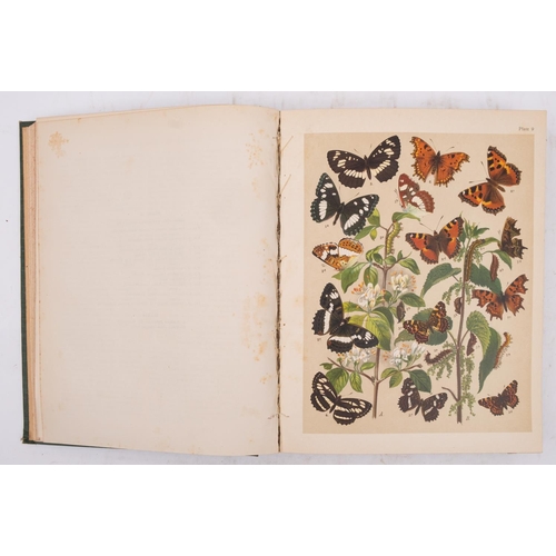 322 - KIRBY, W. F. - The Butterflies and Moths of Europe, 50 colour plates, original pictorial cloth, brig... 