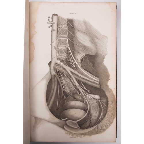 324 - LIZARDS, John,- System of Anatomical Plates of the Human Body, accompanied with descriptions.....,  ... 