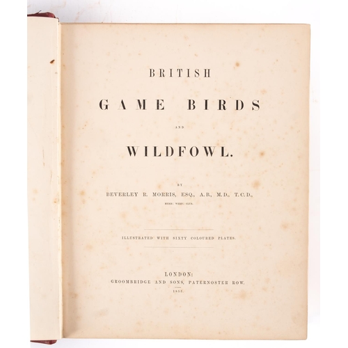 332 - MORRIS, Beverley R - British Game Birds and Wildfowl : 60 hand coloured plates a few loose. org. hal... 