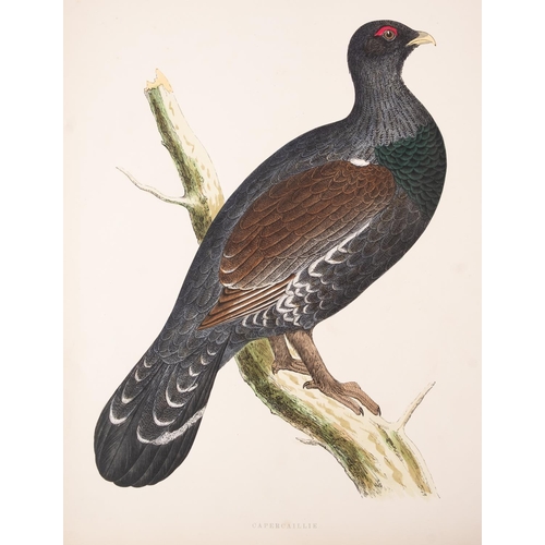 332 - MORRIS, Beverley R - British Game Birds and Wildfowl : 60 hand coloured plates a few loose. org. hal... 