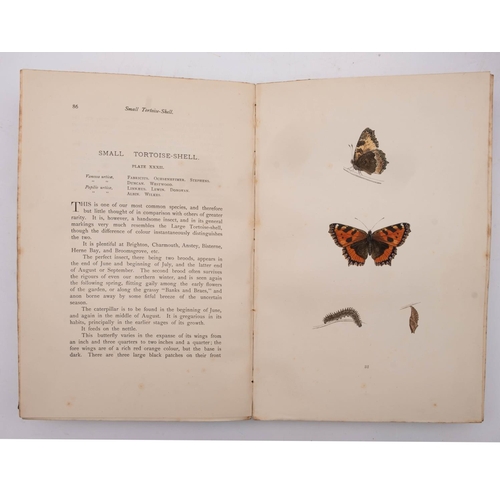 333 - MORRIS, F. O. A History of British Butterflies : Original cloth. 69 plates hand coloured. 4to. Seven... 