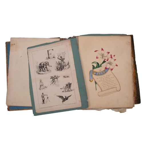 402 - VICTORIAN SCRAP ALBUM : containing manuscript verse and examples of hand writing, botanical watercol... 