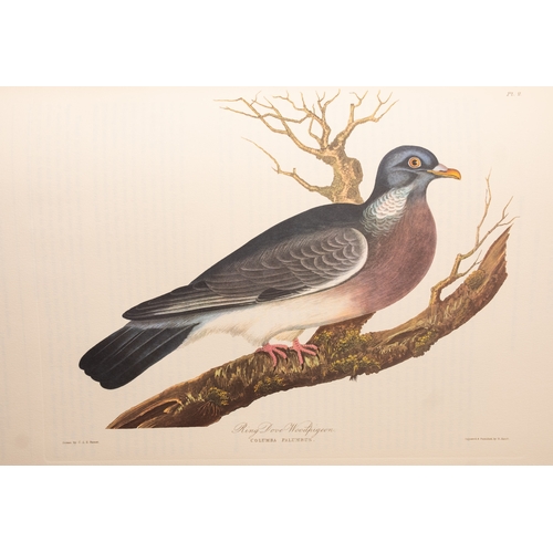 337 - PERROTT, C. L. E - A selection of British Birds. Illust. Org. half morocco in matching Hollander box... 