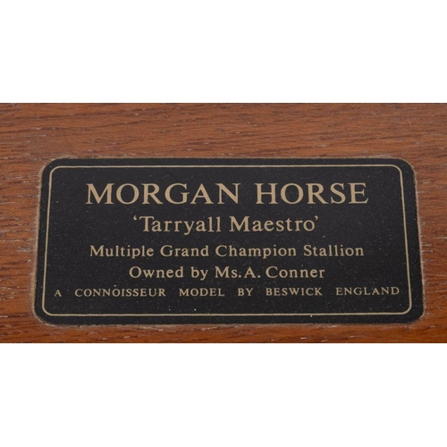 516 - Beswick Horse, Morgan Horse Tarryall Maestro, Model 2605, height 29 cm.