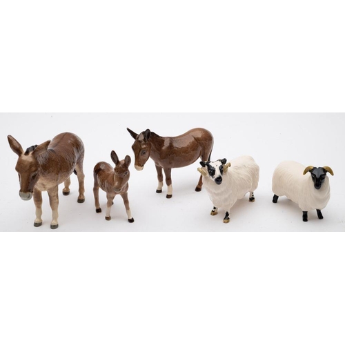 522 - Beswick Donkey and two Foals; together with Black Faced Ram and Uwe.