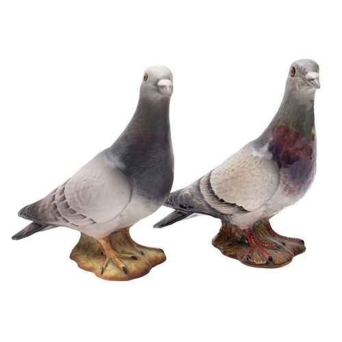 524 - Two Beswick Pigeons, model 1383, one in a matt finish the other in a glass finish, 14cm high (2)