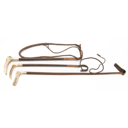 551 - Three antler handled leather  bound riding whips, each with silver plated ferrule (3)