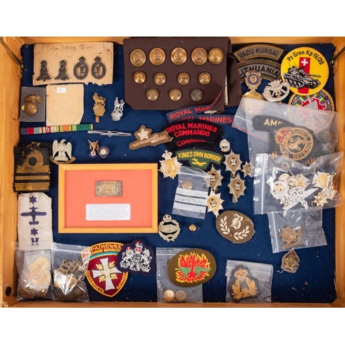 843 - A collection of Commonwealth and foreign cap badges and cloth insignia, including Royal Signals, Tan... 