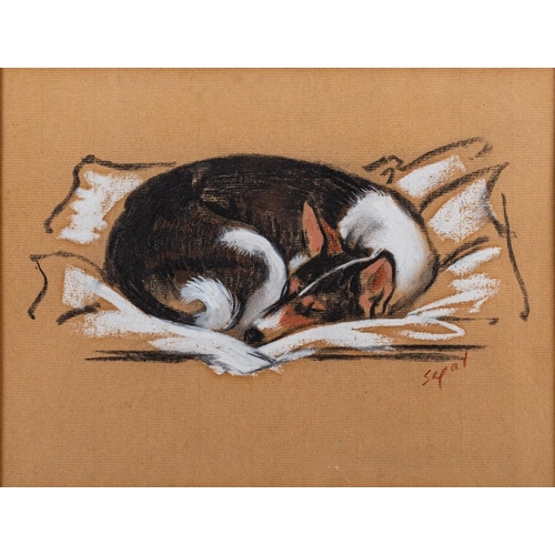 145 - Hyman Segal (1914-2004) Terrier sleeping signed lower right and inscribed verso pastel drawing 21 x ... 