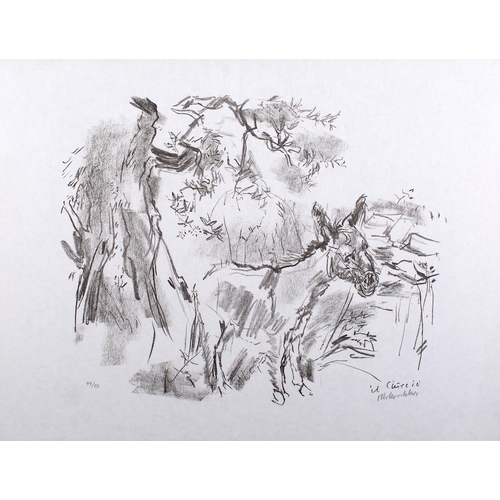 400 - *Oskar Kokoschka (Austrian, 1886-1980) Apulia - Ciccio the Donkey (Der Esel Ciccio), 1963 signed and... 