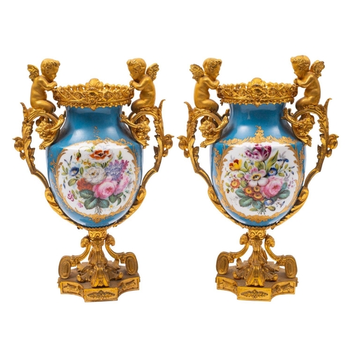 206 - A pair of 19th century French ormolu-mounted porcelain urns decorated in the Sevres manner with pane... 