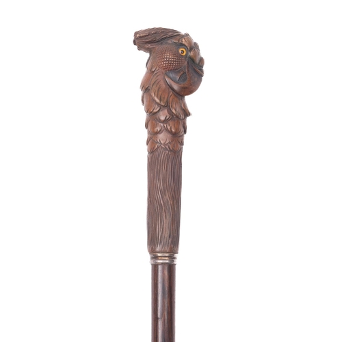 40 - An early 20th century walking cane with carved parrot head handle, with inset glass eyes, over a pla... 