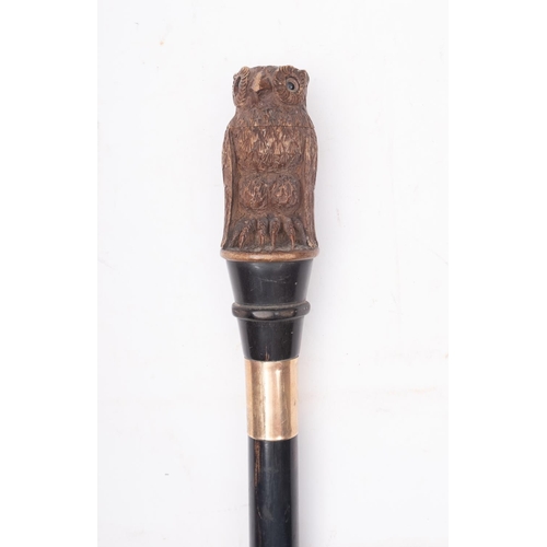 41 - An early 20th century walking cane with carved owl handle, the carved owl with inset glass eyes and ... 