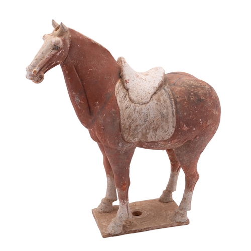 36 - A Chinese painted pottery horse in Tang style standing four-square on plain rectangular base, 34cm h... 